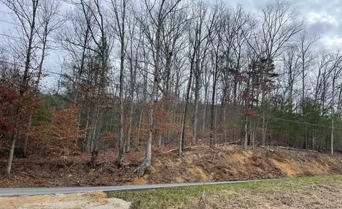 124 Sharp Rd, Sevierville, TN 37876