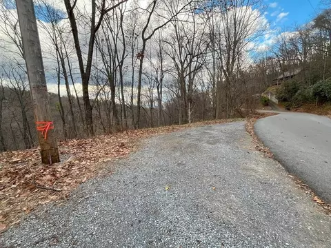 1353 Baden Dr, Gatlinburg, TN 37738