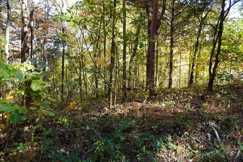 46 West Dr, Parrottsville, TN 37843
