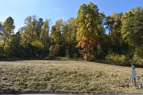 0 Briar Ridge Ln, Strawberry Plains, TN 37871