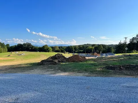 314 Harrison Ferry Rd, White Pine, TN 37890 photo 3