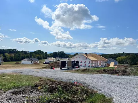 314 Harrison Ferry Rd, White Pine, TN 37890 photo 9