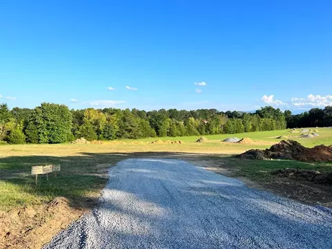 314 Harrison Ferry Rd, White Pine, TN 37890 photo 4