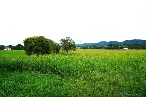 2 Mt Horeb Rd, Jefferson City, TN 37760
