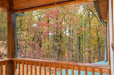 826 String Run Way, Pigeon Forge, TN 37863 photo 52