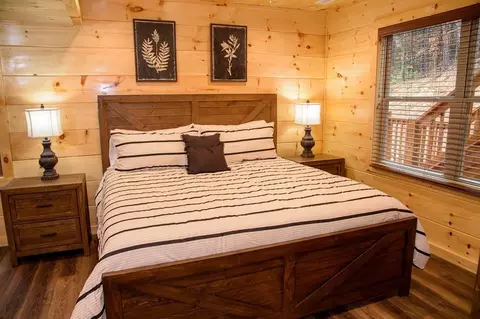 826 String Run Way, Pigeon Forge, TN 37863 photo 29