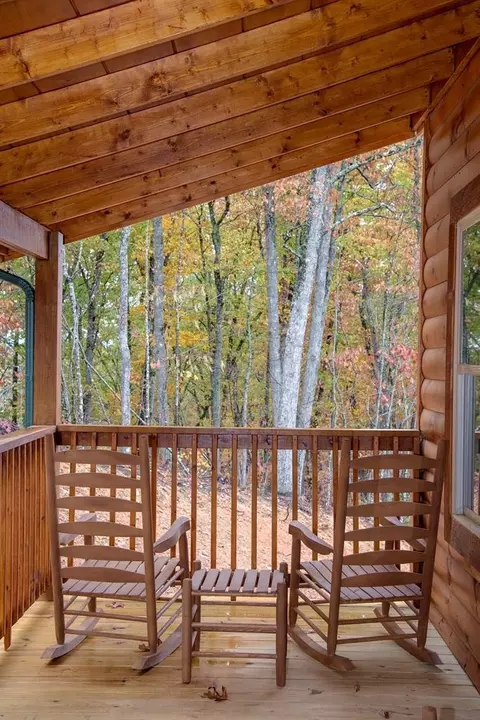 826 String Run Way, Pigeon Forge, TN 37863 photo 49
