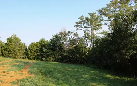 327 Thomas Loop Rd, Sevierville, TN 37876 photo 4