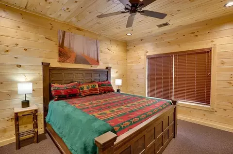 3219 Mayes Loop Rd, Pigeon Forge, TN 37863 photo 36