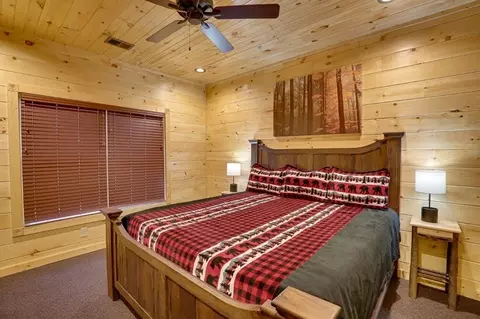 3219 Mayes Loop Rd, Pigeon Forge, TN 37863 photo 43