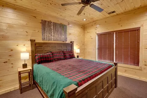 3219 Mayes Loop Rd, Pigeon Forge, TN 37863 photo 48