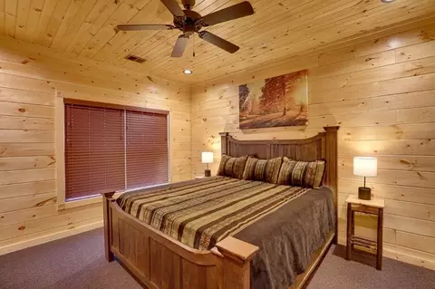 3219 Mayes Loop Rd, Pigeon Forge, TN 37863 photo 52