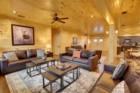 3219 Mayes Loop Rd, Pigeon Forge, TN 37863 photo 17