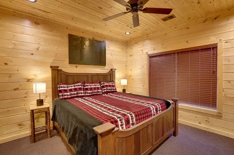3219 Mayes Loop Rd, Pigeon Forge, TN 37863 photo 40