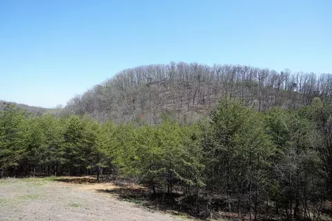 179 White Pine Rd, Talbott, TN 37877 photo 4