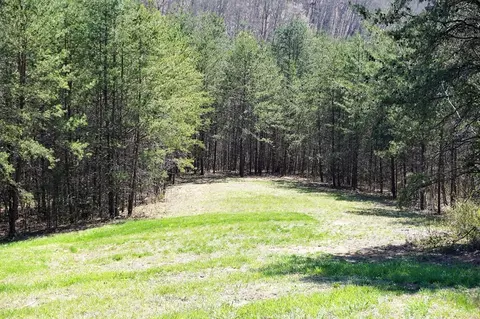 179 White Pine Rd, Talbott, TN 37877 photo 38