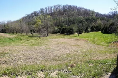 179 White Pine Rd, Talbott, TN 37877 photo 35