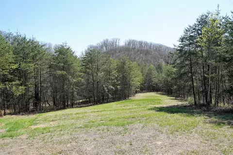 179 White Pine Rd, Talbott, TN 37877 photo 37