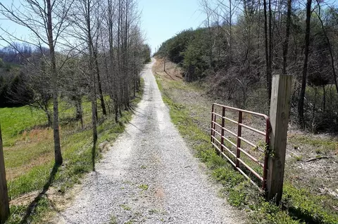 179 White Pine Rd, Talbott, TN 37877 photo 34