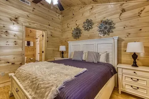 848 String Run Way, Pigeon Forge, TN 37863 photo 3