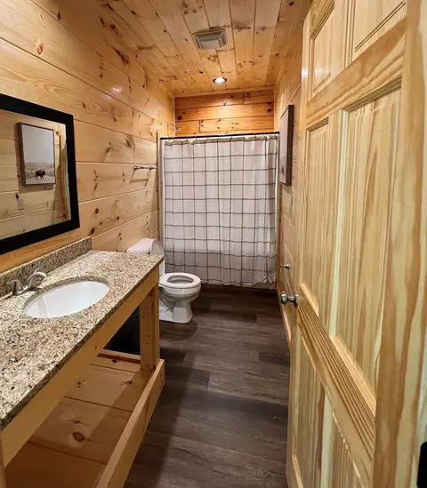 825 String Run Way, Pigeon Forge, TN 37863 photo 46