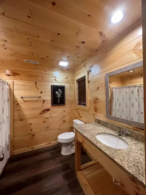 817 String Run Way, Pigeon Forge, TN 37863 photo 15