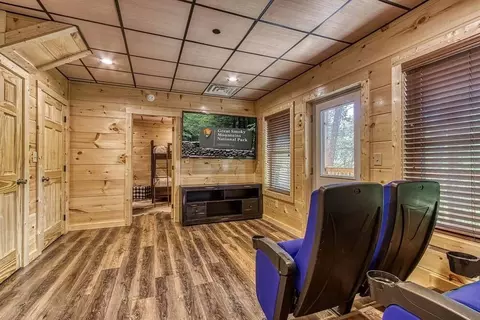 805 String Run Way, Pigeon Forge, TN 37863 photo 10