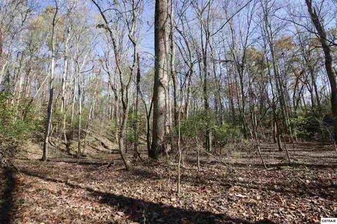 908 Doe Dr, Greenback, TN 37742 photo 12