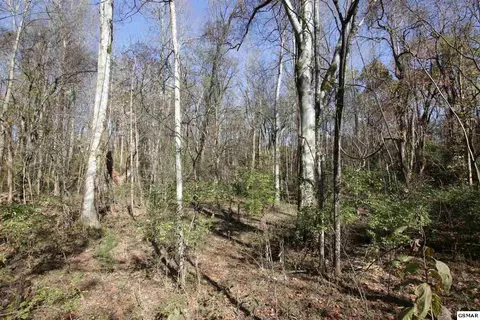 908 Doe Dr, Greenback, TN 37742 photo 5