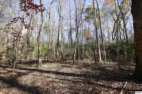 908 Doe Dr, Greenback, TN 37742 photo 11