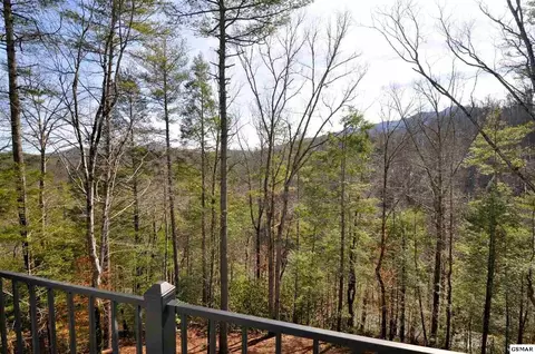 194 Cold Springs Trce, Townsend, TN 37882 photo 21