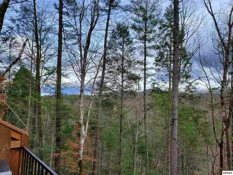 194 Cold Springs Trce, Townsend, TN 37882 photo 27