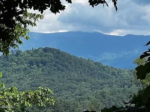 0 Chinquapin Dr, Sevierville, TN 37862