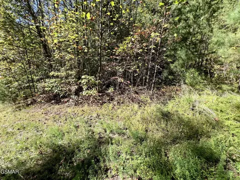 561 Creek Hollow Way, Sevierville, TN 37876