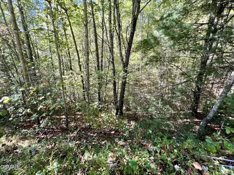 6 Creek Hollow Way, Sevierville, TN 37876
