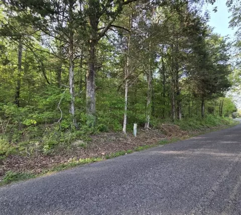 0 Red Bank Creek Rd, Lobelville, TN 37097
