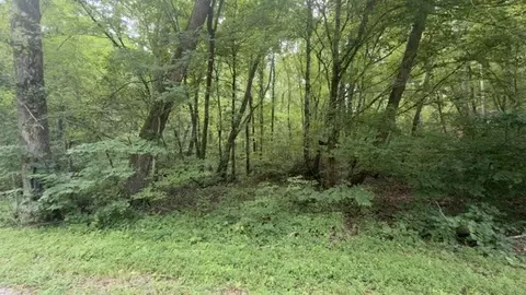 0 Brush Creek Rd, Lawrenceburg, TN 38464