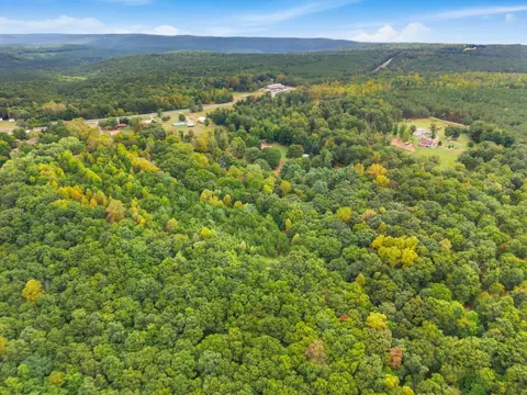 View/Area - 175 Teeters Loop Rd, Dunlap, TN 37327 photo 7 of 8