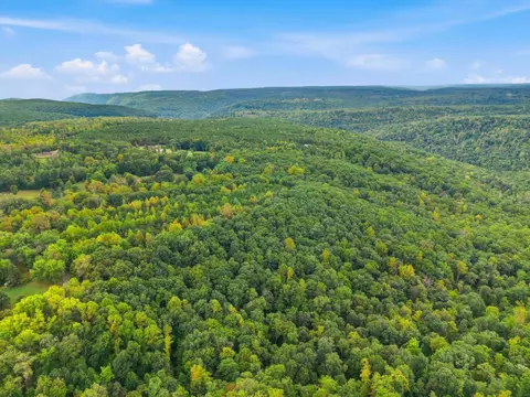 View/Area - 175 Teeters Loop Rd, Dunlap, TN 37327 photo 5 of 8