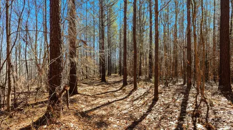 Other - 0 Fowler Rd, Beech Bluff, TN 38313 photo 14 of 17
