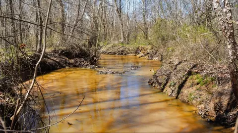 View/Area - 0 Fowler Rd, Beech Bluff, TN 38313 photo 2 of 2
