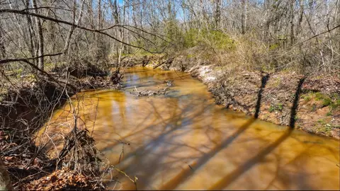 View/Area - 0 Fowler Rd, Beech Bluff, TN 38313 photo 1 of 2