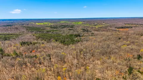 Other - 0 Fowler Rd, Beech Bluff, TN 38313 photo 4 of 17
