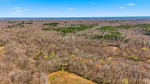 Other - 0 Fowler Rd, Beech Bluff, TN 38313 photo 5 of 17