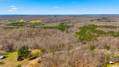 Other - 0 Fowler Rd, Beech Bluff, TN 38313 photo 8 of 17