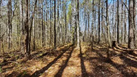 Exterior - 1 Fowler Rd, Beech Bluff, TN 38313 photo 1 of 1