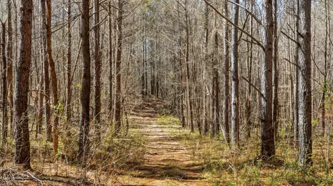 Other - 1 Fowler Rd, Beech Bluff, TN 38313 photo 13 of 15