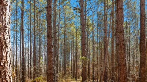 Other - 1 Fowler Rd, Beech Bluff, TN 38313 photo 8 of 15