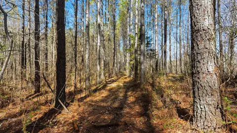 Other - 1 Fowler Rd, Beech Bluff, TN 38313 photo 2 of 15