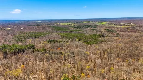View/Area - 1 Fowler Rd, Beech Bluff, TN 38313 photo 2 of 5